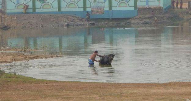 2017-02-18,Filbo Indien,DSCN4081