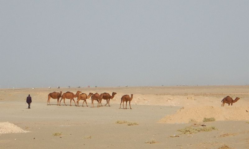 2016-11-05, Filbo Iran,Naein -Ardakan, DSCN2918