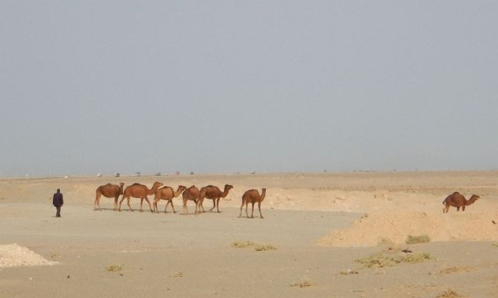 2016-11-05, Filbo Iran,Naein -Ardakan, DSCN2918