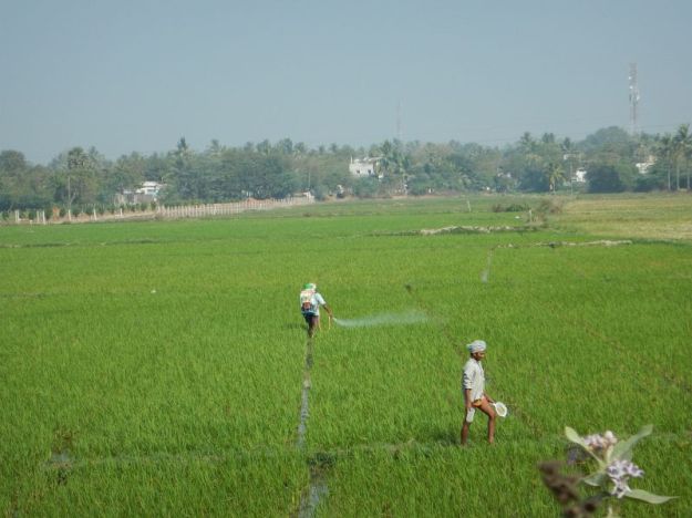 2017-01-27, Filbo Indien,DSCN3924