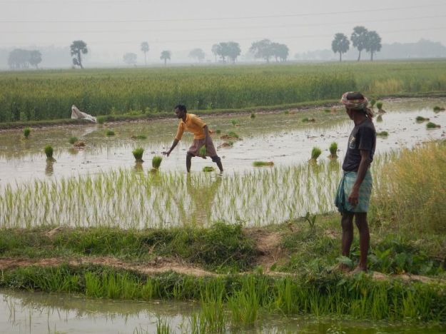 2017-02-18,Filbo Indien,DSCN4075