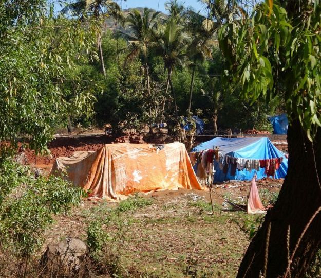 2017-01-08, Filbo Indien,DSCN3666