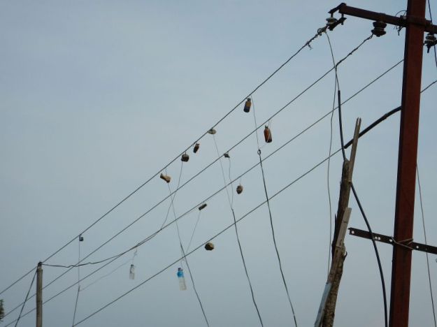 2017-03-08, Filbo Indien,DSCN4186