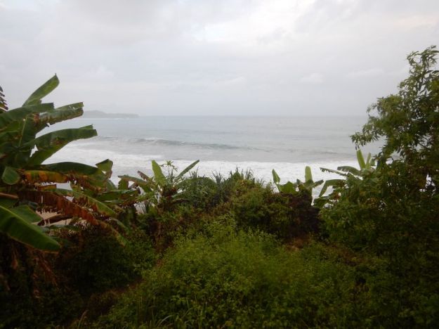 2017-06-15, Filbo Indonesien,Java,DSCN5660