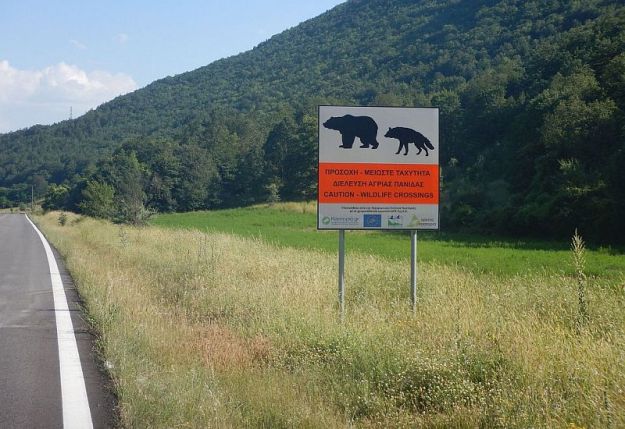 2016-06-23,Filbo, Griechenland,Region Karomilia,DSCN1429