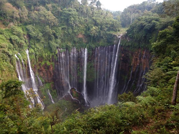 2017-06-22, Filbo Indonesien, Pronojiwo15