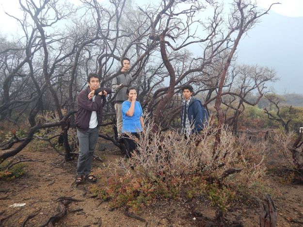 2017-06-26, Filbo Indonesien,Ijen,2017-06-26, Filbo Indonesien,DSCN5992