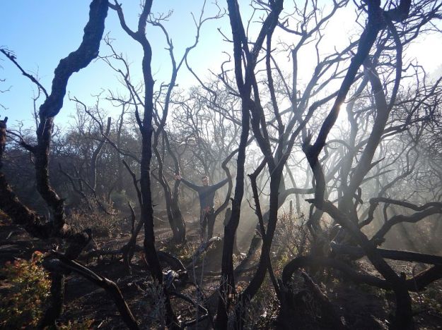 2017-06-26, Filbo Indonesien,Ijen,2017-06-26, Filbo Indonesien,DSCN5998