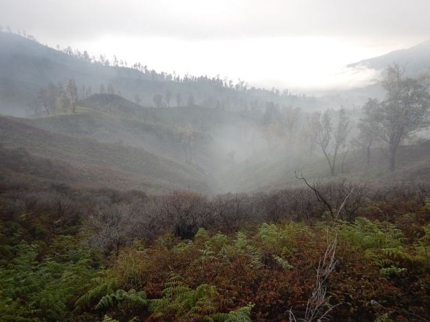 2017-06-26, Filbo Indonesien,Ijen,2017-06-26, Filbo Indonesien,DSCN6007