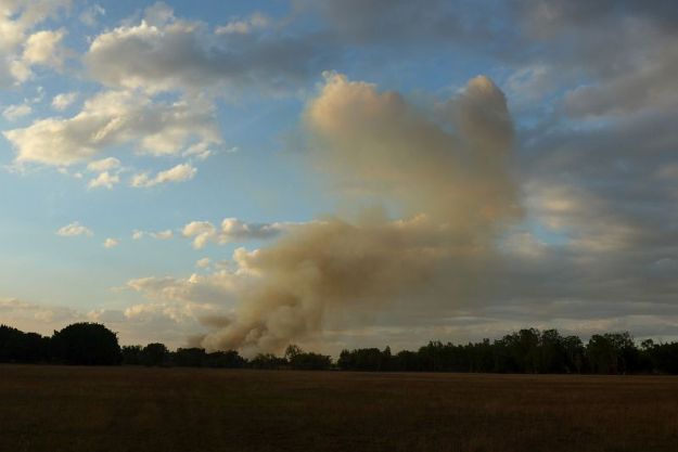 2017-07-06, Australien, Litchfield, Do.P1080130