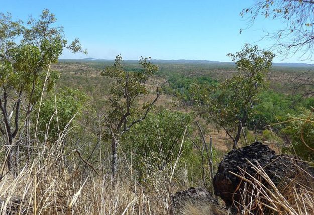 2017-07-13, Australien,Edith Falls, Do.2.V.P1080470