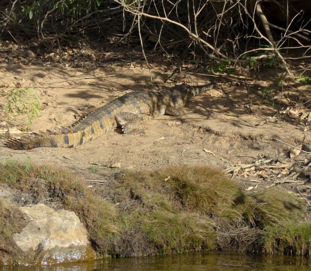 2017-07-17, Australien,Katherine George,Do.P1080804