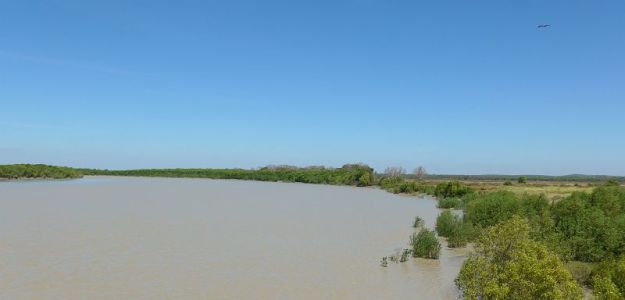 2017-07-23, Kakadu,South Alligator River,Do.P1090376