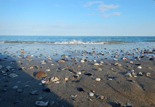 2016-05-20, Filbo,Italien 7,Jesolo,DSCN0806