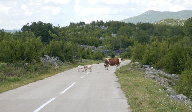 2016-05-30,Filbo,Kroatien 5,Region Dalmatinska,DSCN0995