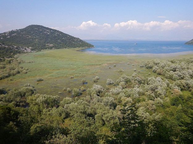 2016-06-08,Filbo,Montenegro,DSCN1181