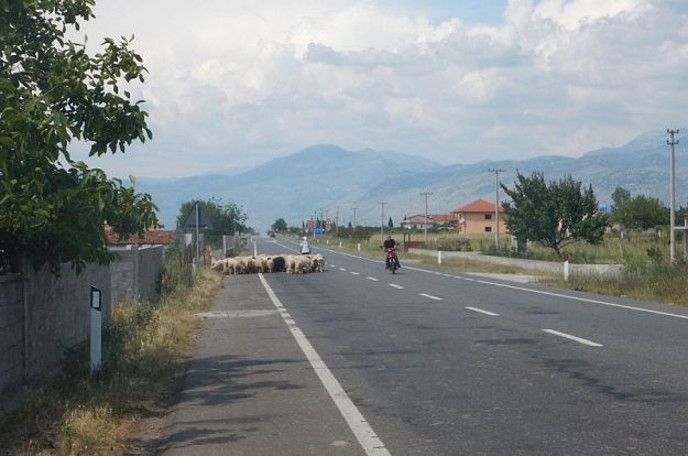 2016-06-09,Filbo,Albanien,Region Koplik,DSCN1199