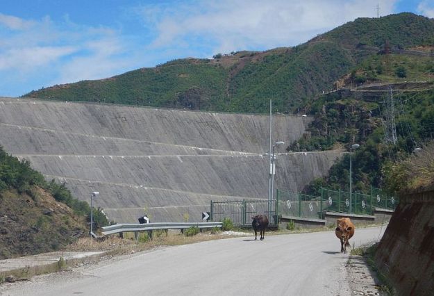 2016-06-13,Filbo,Albanien,Region Koman Fierze,DSCN1264