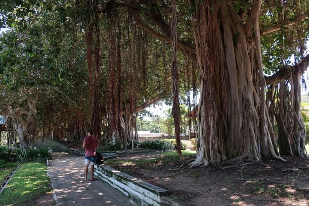 2018-03-16, Filbo, Australien, Magnetic Iland,IMG_0270