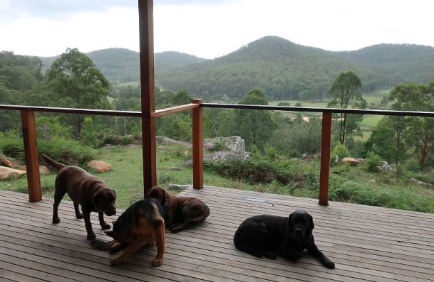 2018-04-27, Filbo Australien, Laguna,104122_IMG_0518