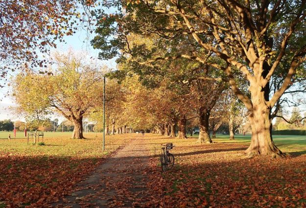 2018-05-01, Filbo Neuseeland, Christchurch, 140903_IMG_0557