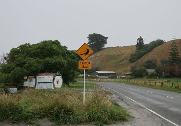 2018-05-15, Filbo Neuseeland,Reg. Kaikoura,073241_IMG_0692