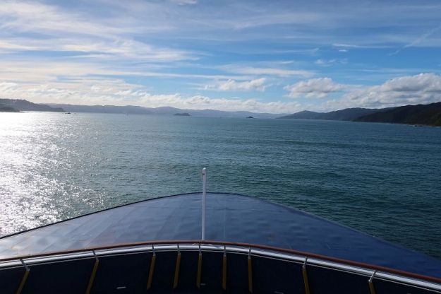 2018-05-17, Filbo Neuseeland,South-North Island,105443_IMG_0732