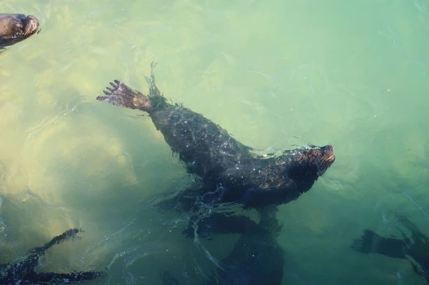 2018-06-16,Filbo Chile, Valparaiso,022925_IMG_1045