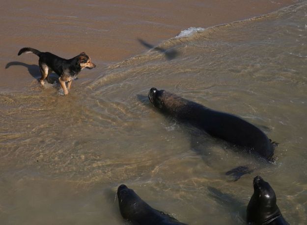 2018-06-16,Filbo Chile, Valparaiso,024730_IMG_1048