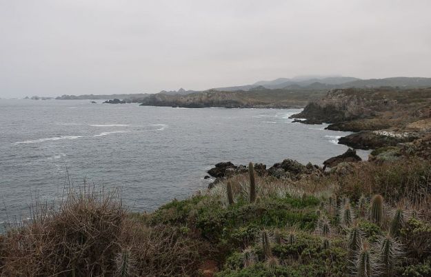 2018-06-18,Filbo Chile, Los Molles,001733_IMG_1094