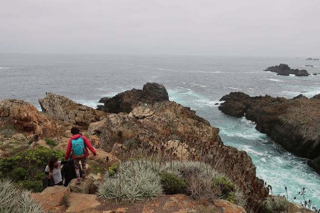 2018-06-18,Filbo Chile, Los Molles,231010_IMG_1077