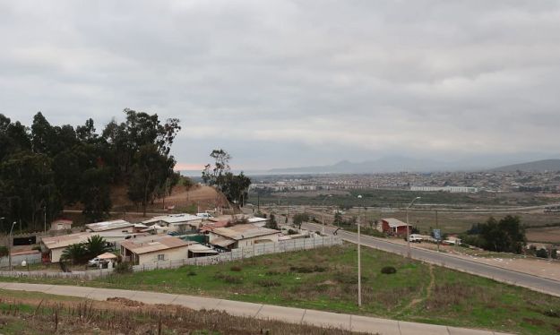 2018-06-30, Filbo Chile, Vicuna,162804_IMG_1183