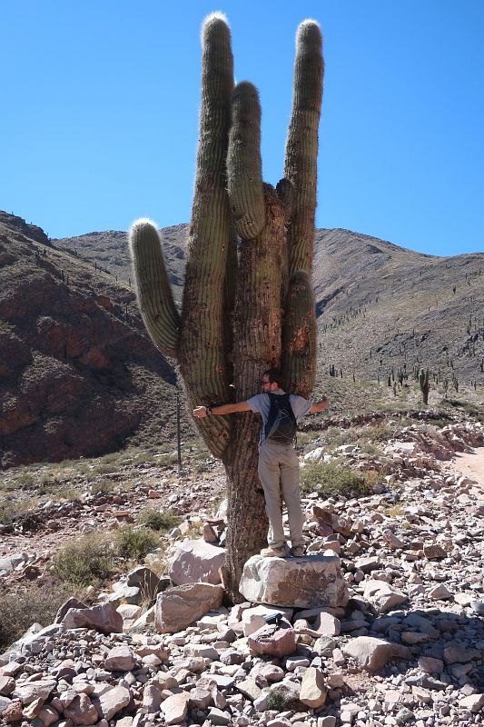 2018-08-11,Filbo Argentinien,Tilcara,132745_IMG_2031