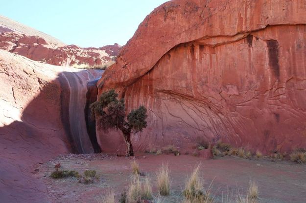 2018-08-15, Filbo Argentinien, Inca Cueva,_IMG_2098