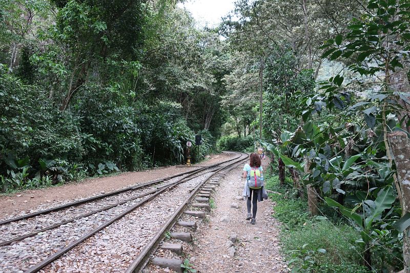 2018-09-20, Filbo Peru, Reg. Machu Picchu,IMG_2392