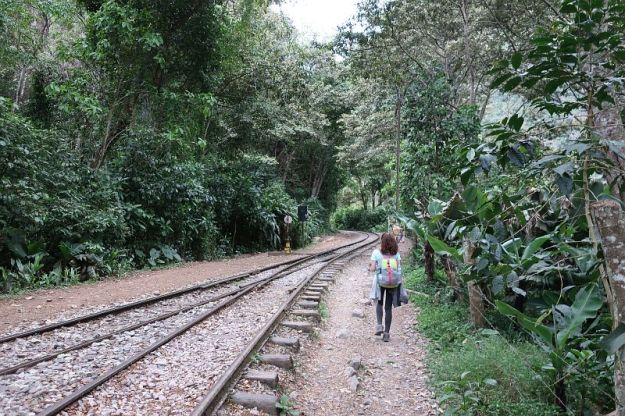 2018-09-20, Filbo Peru, Reg. Machu Picchu,IMG_2392