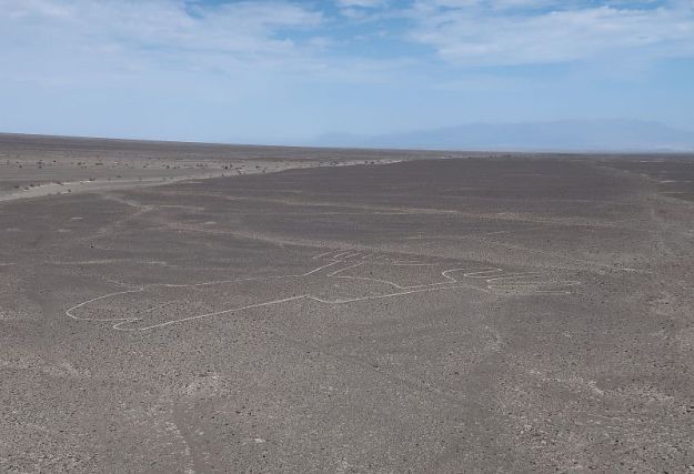 2018-10-03, Filbo Peru, Reg. Nasca,122559_IMG_2528
