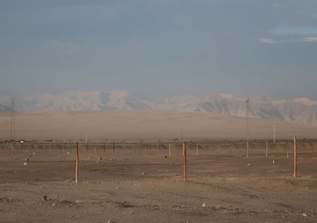 2018-10-05, Filbo Peru, Reg. Vineyard,172251_IMG_2567