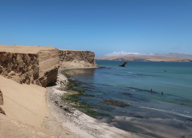 2018-10-08, Filbo Peru, Reg. Paracas,113326_IMG_2595