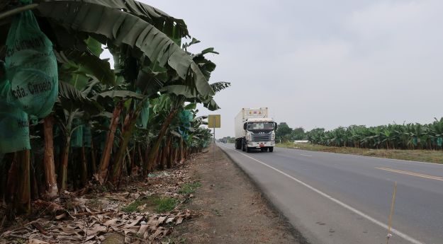 2018-10-24, Filbo Ecuador, Reg. San Juan,IMG_2674