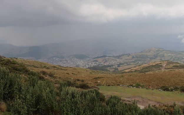 2018-10-27, Filbo Ecuador, Rucu Pichincha,IMG_2686