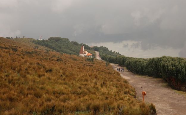 2018-10-27, Filbo Ecuador, Rucu Pichincha,IMG_2689