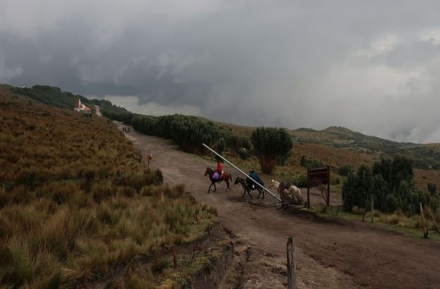 2018-10-27, Filbo Ecuador, Rucu Pichincha,IMG_2690