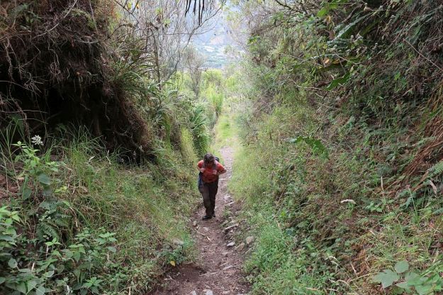 2018-11-05, filbo ecuador, reg. lligua,131238_img_2843