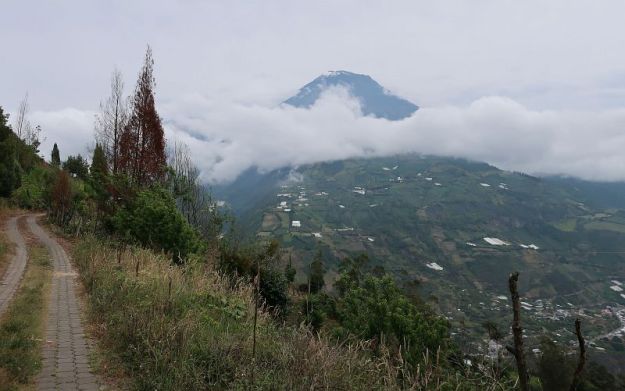 2018-11-05, filbo ecuador,tungurahua,142544_img_2848