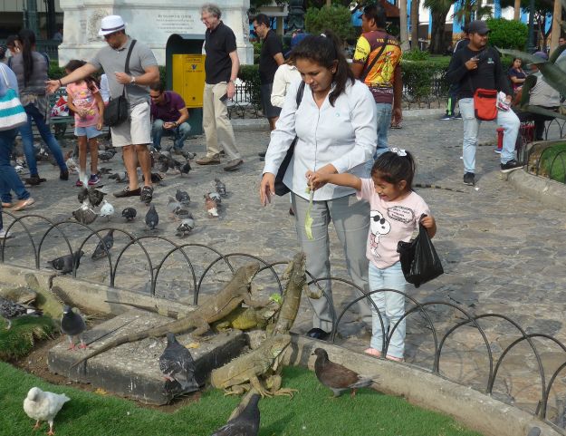 2018-11-10, ecuador, guayaquil, do.p1130789