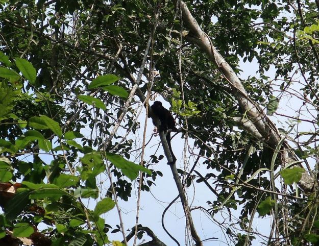 2018-11-182cecuadorfilbo2claloloor2c114120_img_3056