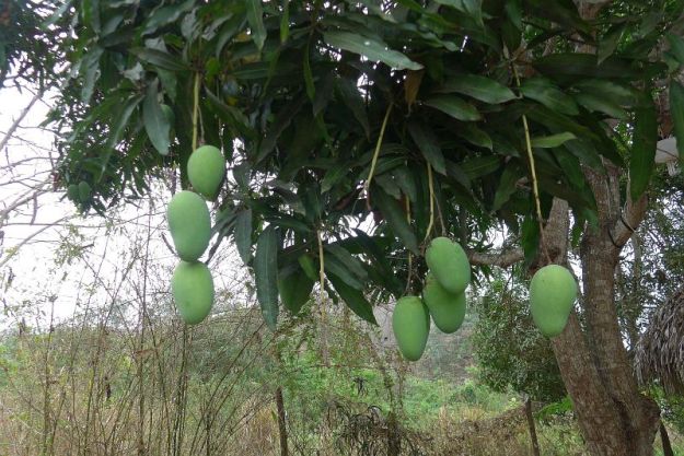 2018-11-19, Ecuador, Punta Blanca,Do.P1140441