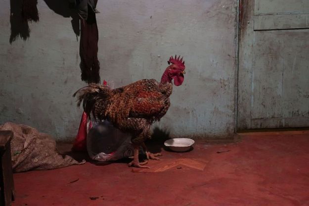 2018-11-30, Filbo Kolumbien, Reg. Tangua,200553_IMG_3149