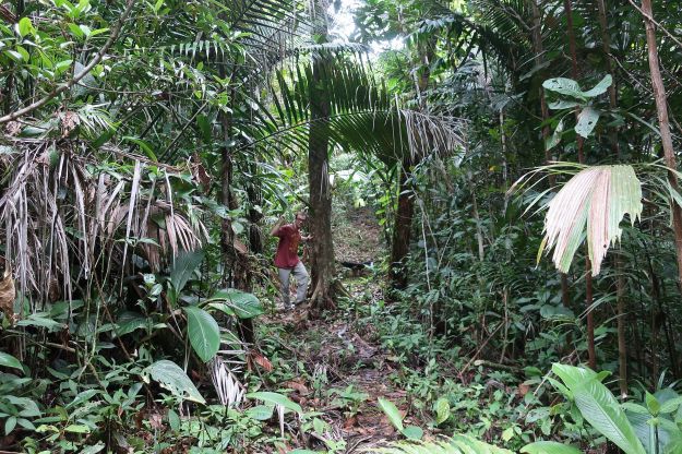 2018-12-13,Filbo Kolumbien, Uramba Malaga,151013_IMG_3267